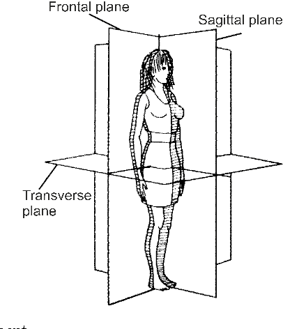 Figure 1 for HMM and DTW for evaluation of therapeutical gestures using kinect
