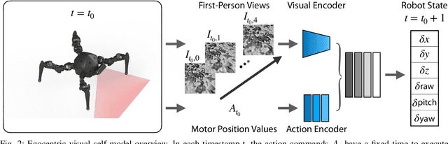 Figure 1 for Egocentric Visual Self-Modeling for Legged Robot Locomotion
