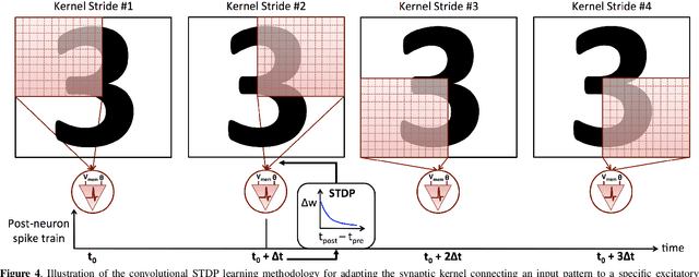 Figure 4 for Convolutional Spike Timing Dependent Plasticity based Feature Learning in Spiking Neural Networks