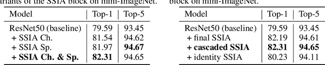 Figure 2 for Self-Supervised Implicit Attention: Guided Attention by The Model Itself