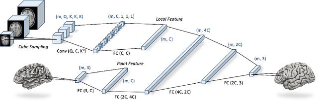 Figure 2 for CortexODE: Learning Cortical Surface Reconstruction by Neural ODEs