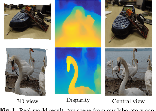 Figure 1 for Variational Disparity Estimation Framework for Plenoptic Image