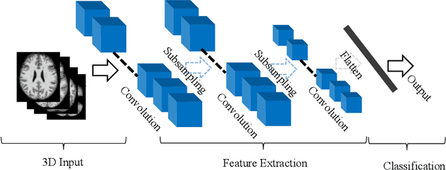 Figure 3 for 3D Deep Learning on Medical Images: A Review