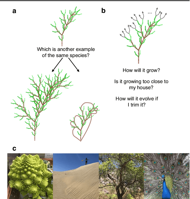 Figure 1 for People infer recursive visual concepts from just a few examples