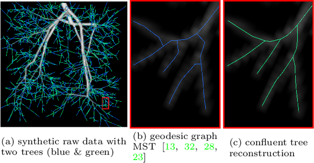 Figure 1 for Confluent Vessel Trees with Accurate Bifurcations