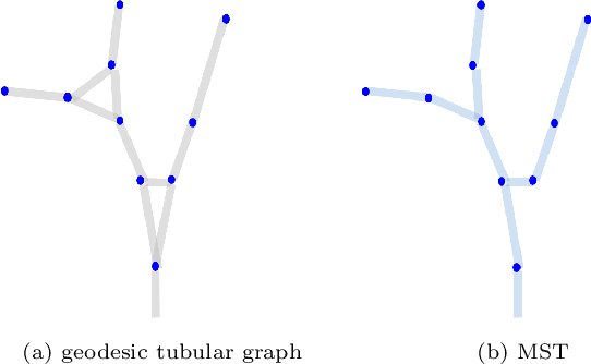 Figure 3 for Confluent Vessel Trees with Accurate Bifurcations