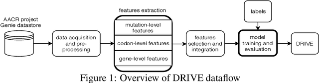 Figure 1 for DRIVE: Machine Learning to Identify Drivers of Cancer with High-Dimensional Genomic Data & Imputed Labels