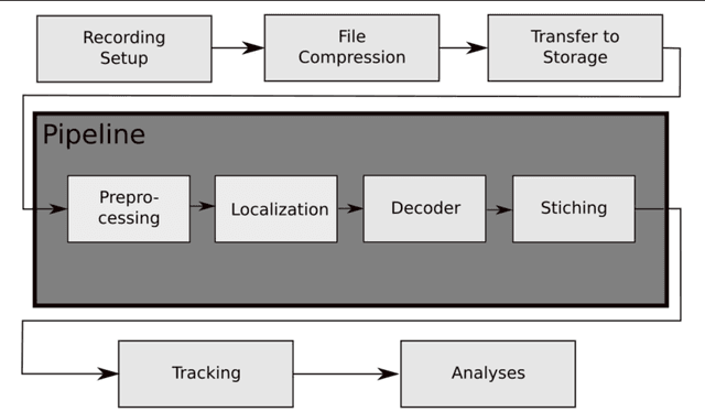 Figure 3 for Tracking all members of a honey bee colony over their lifetime