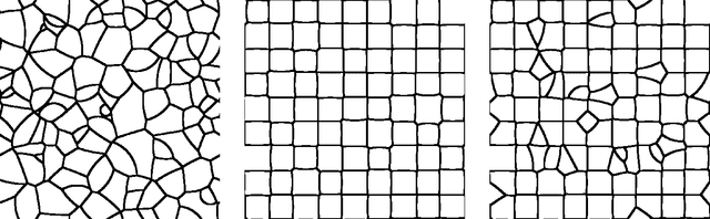 Figure 2 for The Riddle of Togelby