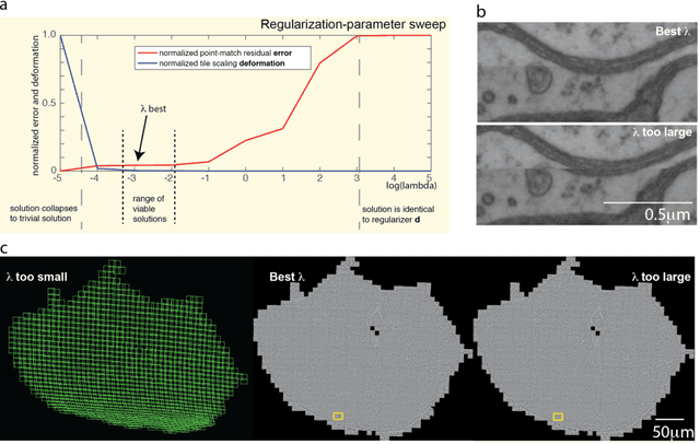 Figure 1 for Joint Deformable Registration of Large EM Image Volumes: A Matrix Solver Approach