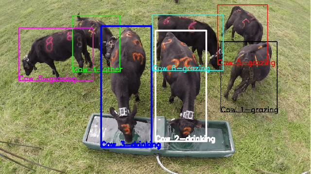 Figure 3 for Video-based cattle identification and action recognition