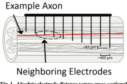 Figure 2 for Discrimination Among Multiple Cutaneous and Proprioceptive Hand Percepts Evoked by Nerve Stimulation with Utah Slanted Electrode Arrays in Human Amputees