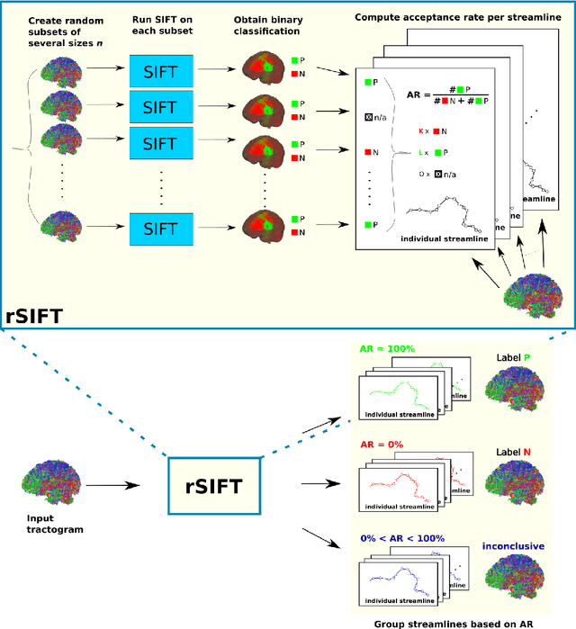 Figure 2 for Assessing Streamline Plausibility Through Randomized Iterative Spherical-Deconvolution Informed Tractogram Filtering