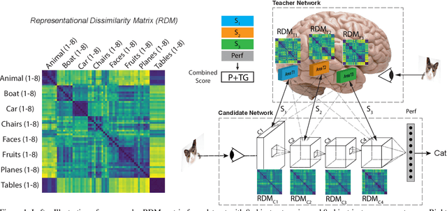 Figure 1 for Teacher Guided Architecture Search