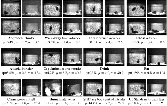 Figure 1 for Review on Social Behavior Analysis of Laboratory Animals: From Methodologies to Applications