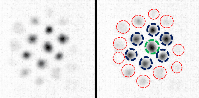 Figure 1 for Deconvolution and Restoration of Optical Endomicroscopy Images