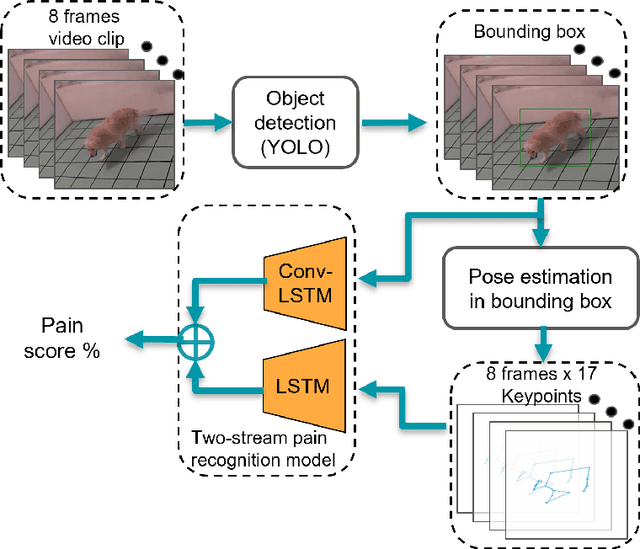 Figure 3 for Video-based estimation of pain indicators in dogs