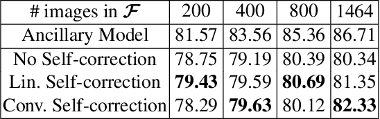 Figure 2 for Weakly Supervised Semantic Image Segmentation with Self-correcting Networks