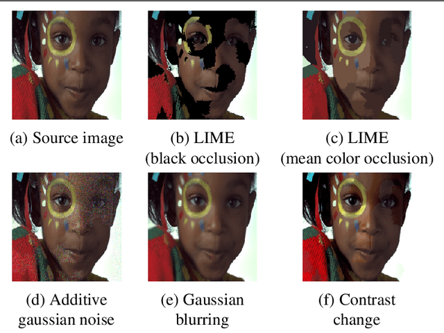 Figure 3 for Sampling Based On Natural Image Statistics Improves Local Surrogate Explainers