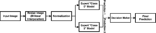 Figure 3 for Ensemble of Convolutional Neural Networks for Automatic Grading of Diabetic Retinopathy and Macular Edema