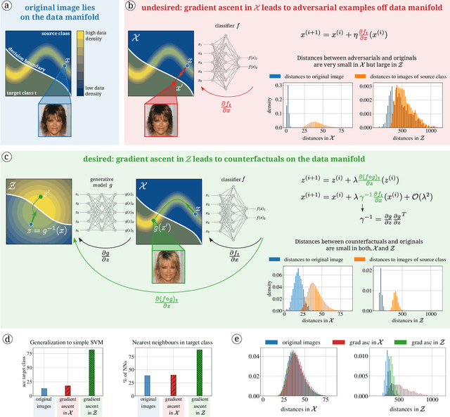 Figure 3 for Diffeomorphic Counterfactuals with Generative Models