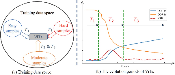 Figure 1 for Effective Vision Transformer Training: A Data-Centric Perspective