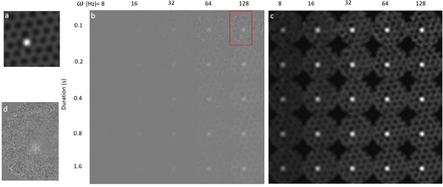 Figure 2 for Compressed Sensing of Scanning Transmission Electron Microscopy (STEM) on Non-Rectangular Scans