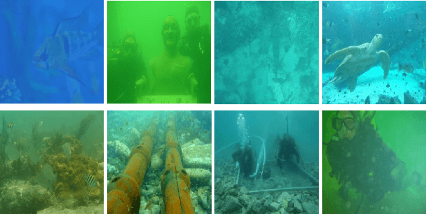 Figure 1 for Jointly Adversarial Network to Wavelength Compensation and Dehazing of Underwater Images