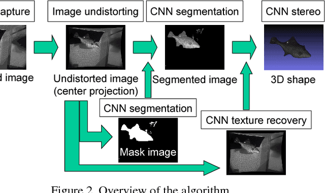Figure 2 for Multi-scale CNN stereo and pattern removal technique for underwater active stereo system