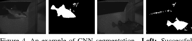 Figure 4 for Multi-scale CNN stereo and pattern removal technique for underwater active stereo system