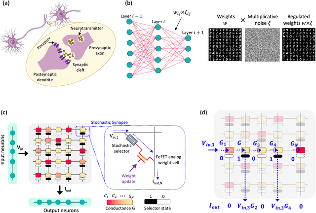 Figure 1 for Neural Sampling Machine with Stochastic Synapse allows Brain-like Learning and Inference