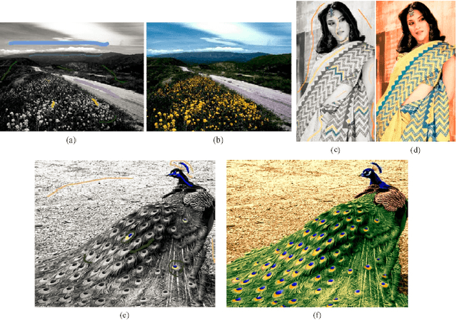 Figure 3 for Two Decades of Colorization and Decolorization for Images and Videos