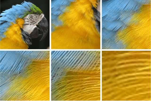 Figure 3 for Frequency learning for image classification