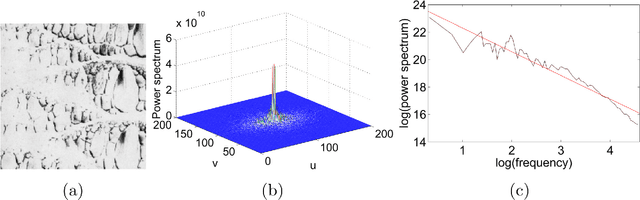 Figure 2 for Fractal Descriptors in the Fourier Domain Applied to Color Texture Analysis