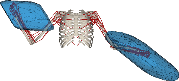 Figure 1 for On-line feasible wrench polytope evaluation based on human musculoskeletal models: an iterative convex hull method