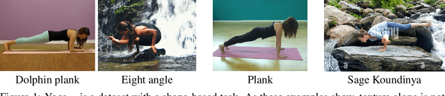 Figure 1 for DILEMMA: Self-Supervised Shape and Texture Learning with Transformers