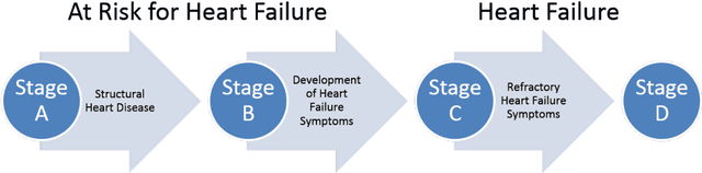 Figure 1 for Effectiveness of LSTMs in Predicting Congestive Heart Failure Onset
