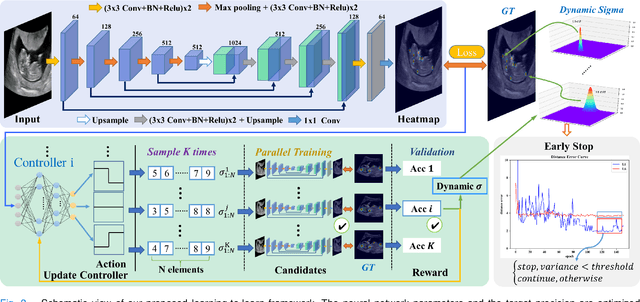 Figure 3 for Learn Fine-grained Adaptive Loss for Multiple Anatomical Landmark Detection in Medical Images