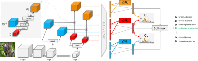 Figure 1 for Cross-X Learning for Fine-Grained Visual Categorization