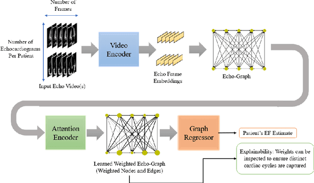 Figure 1 for EchoGNN: Explainable Ejection Fraction Estimation with Graph Neural Networks