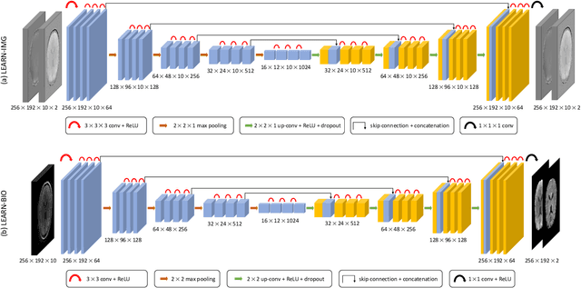Figure 3 for Learning-based Motion Artifact Removal Networks (LEARN) for Quantitative $R_2^\ast$ Mapping