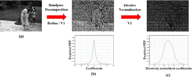 Figure 1 for On the Space-Time Statistics of Motion Pictures