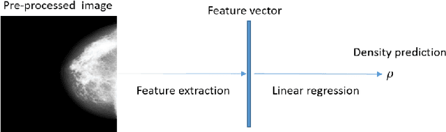 Figure 1 for The effect of variable labels on deep learning models trained to predict breast density