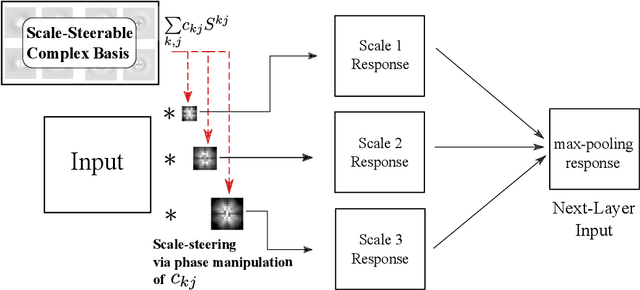 Figure 3 for Scale Steerable Filters for Locally Scale-Invariant Convolutional Neural Networks