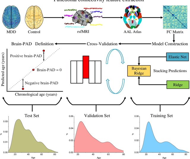Figure 1 for Accelerated functional brain aging in major depressive disorder: evidence from a large scale fMRI analysis of Chinese participants