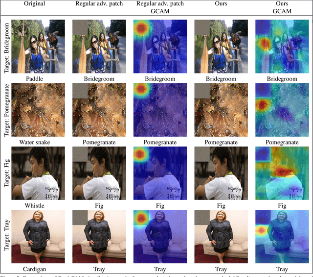 Figure 3 for Towards Hiding Adversarial Examples from Network Interpretation