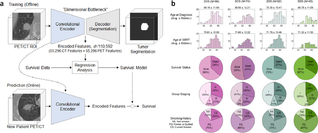 Figure 1 for What does AI see? Deep segmentation networks discover biomarkers for lung cancer survival