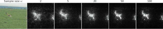 Figure 4 for SmoothGrad: removing noise by adding noise