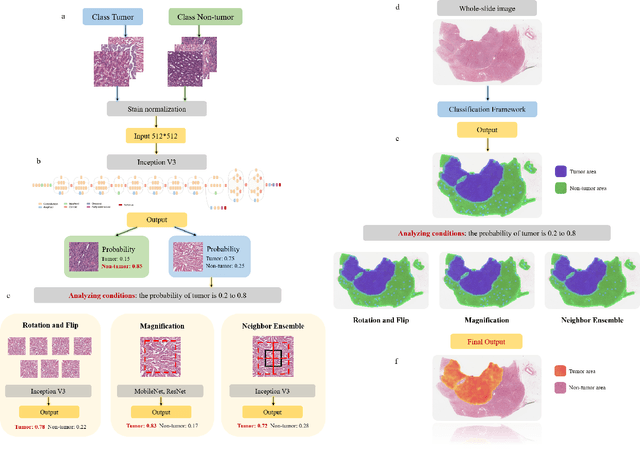 Figure 2 for A Precision Diagnostic Framework of Renal Cell Carcinoma on Whole-Slide Images using Deep Learning
