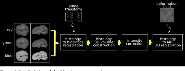 Figure 3 for Automating Whole Brain Histology to MRI Registration: Implementation of a Computational Pipeline